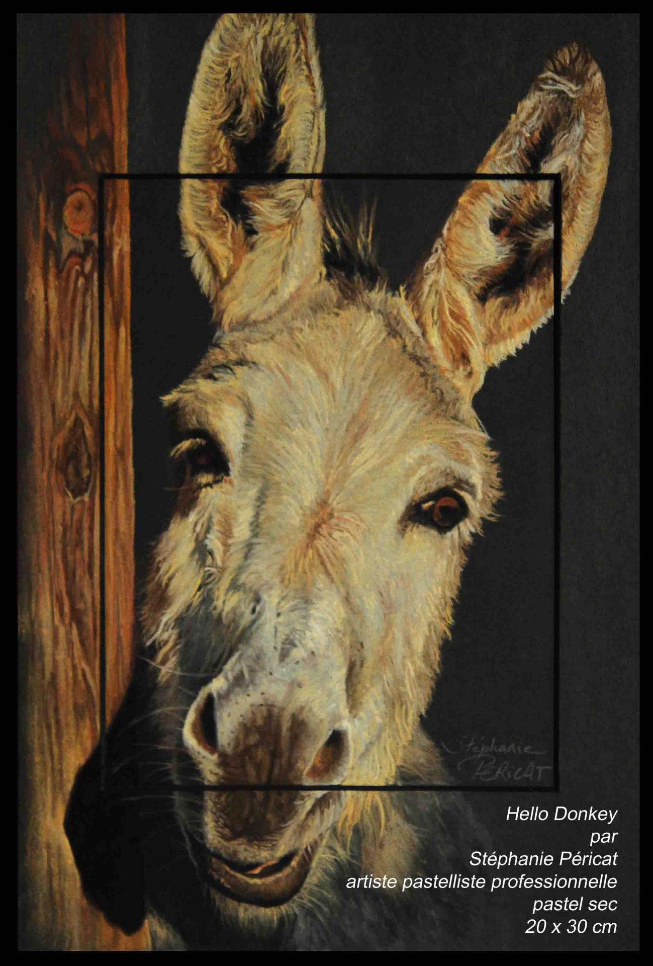 Hello Donkey !  -  20 x 30 cm  -  Disponible