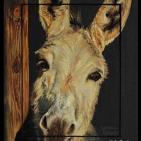 Hello Donkey !  -  20 x 30 cm  -  Disponible