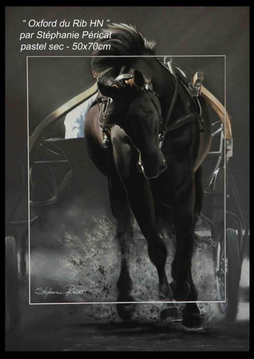 0 oxford du rib par stephaniepericat 50x70titre