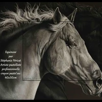 Equinoxe ( Boog -qh stallion- & Sevillano-PREm)  -  40 x 50 cm   -  Disponible