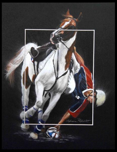 Horse Ball France  -  24 x 30 cm