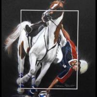 Horse Ball France  -  24 x 30 cm