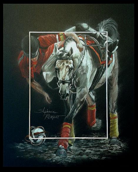 Horse Ball Espagne  -  24 x 30 cm