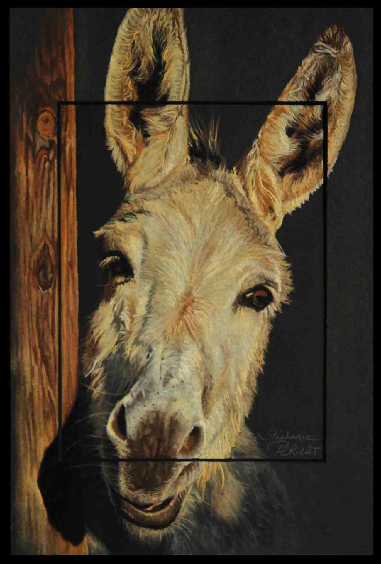 Hello Donkey !  -  20 x 30 cm  -  Disponible
