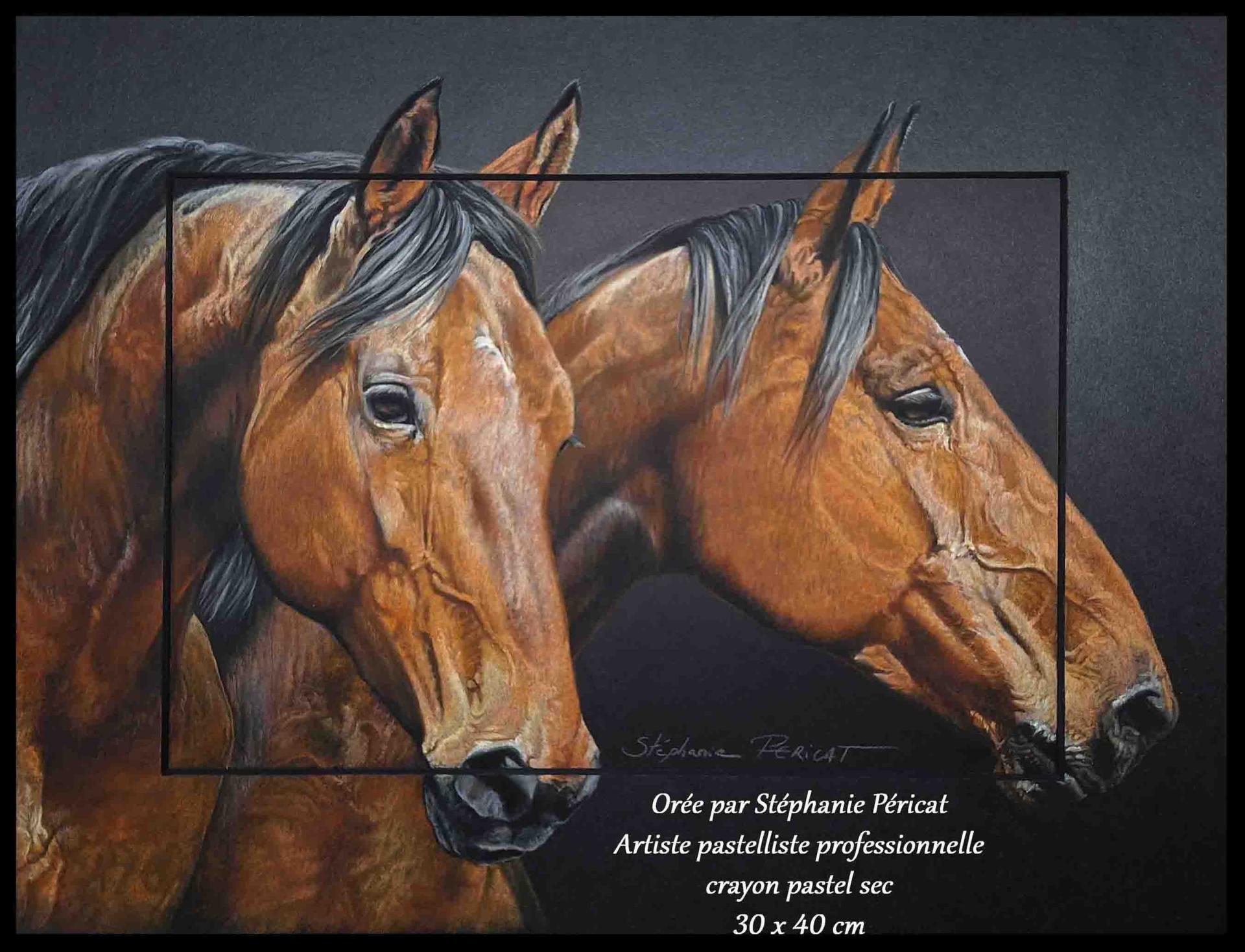 Orée, poulinière SF  -  30 x 40 cm