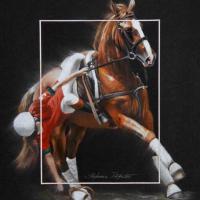 Horse Ball Portugal  -  24 x 30 cm