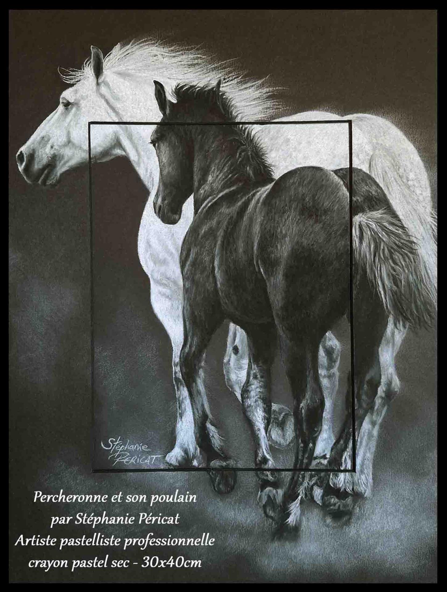 Percheronne et son poulain  -  30 x 40 cm  -  Disponible