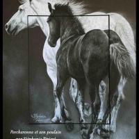 Percheronne et son poulain  -  30 x 40 cm  -  Disponible