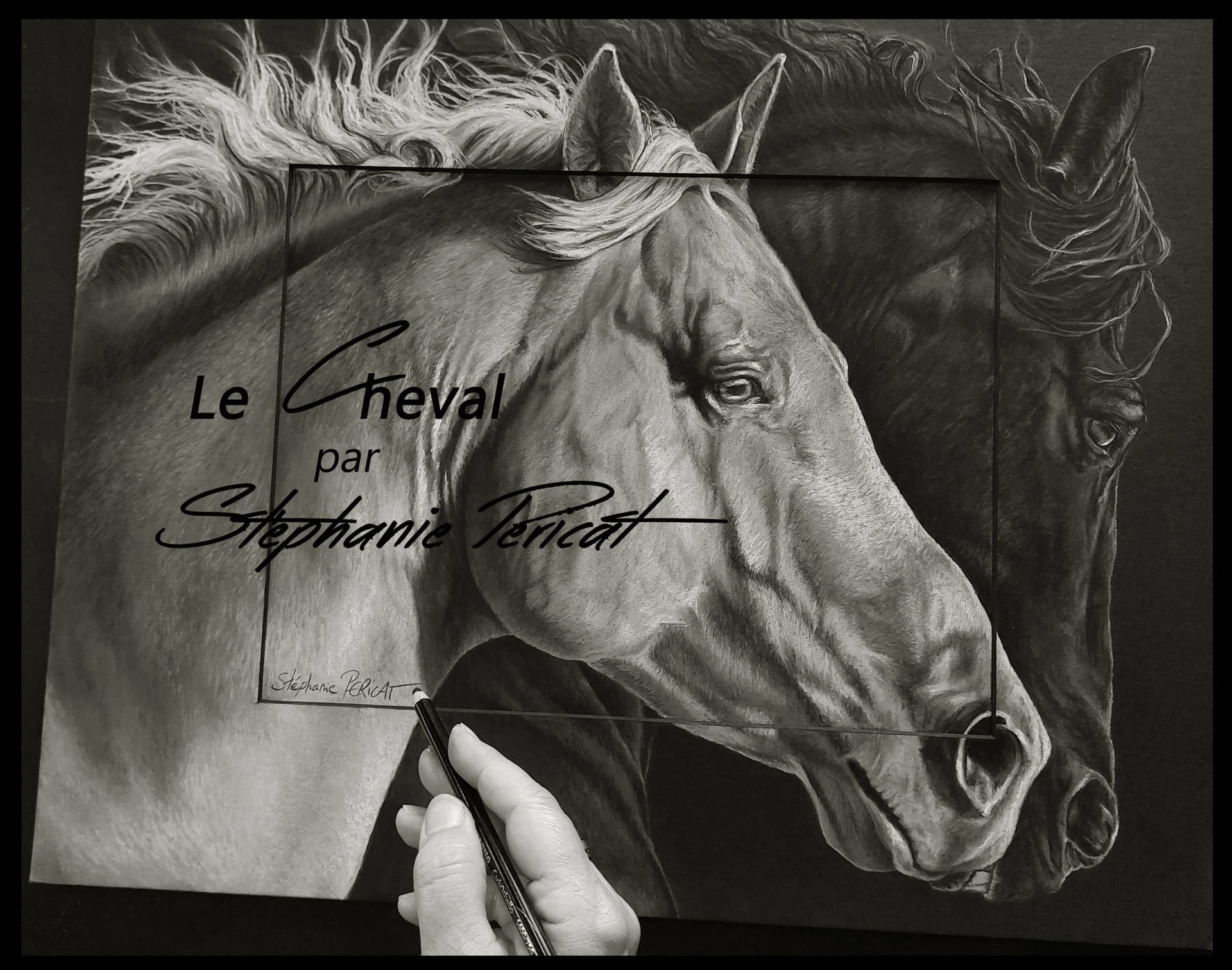 Le Cheval par Stéphanie Péricat